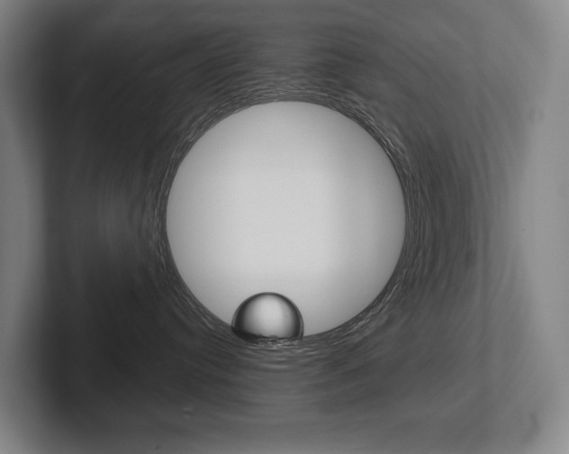 X0000102280384200807250946