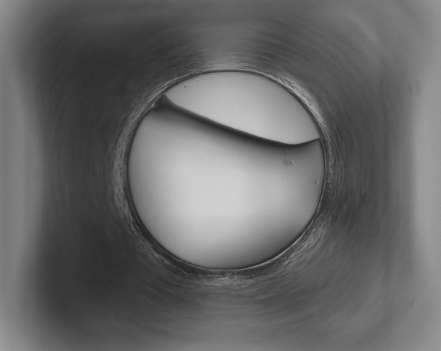 X0000102280385200807250945