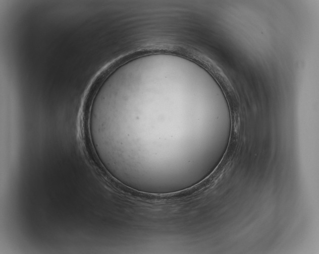 X0000102280388200807250945