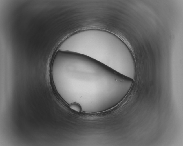 X0000102280389200807250945