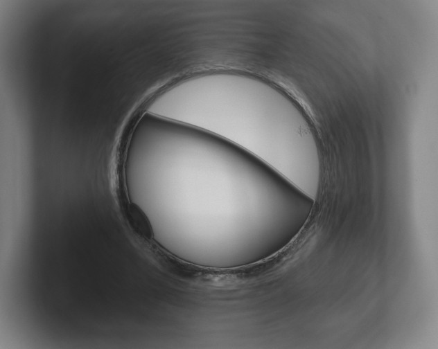 X0000102280395200807250945