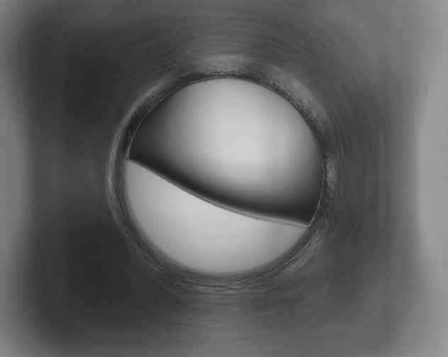 X0000102280396200807250945
