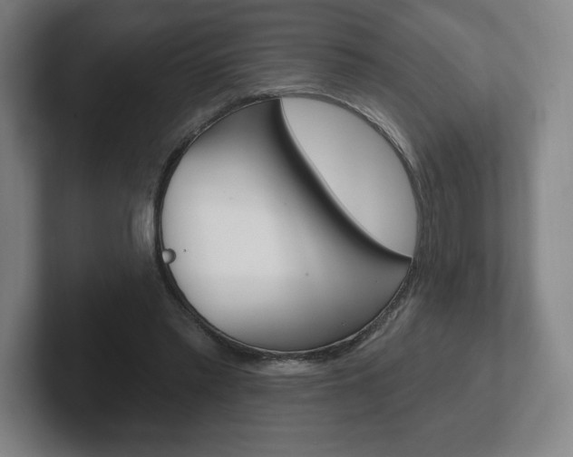 X0000102280397200807250945