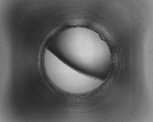 X0000102280400200807250945