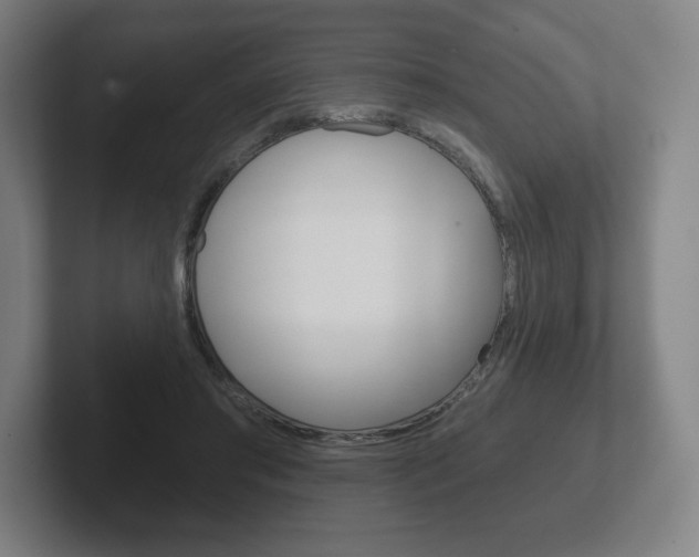 X0000102280405200807250945