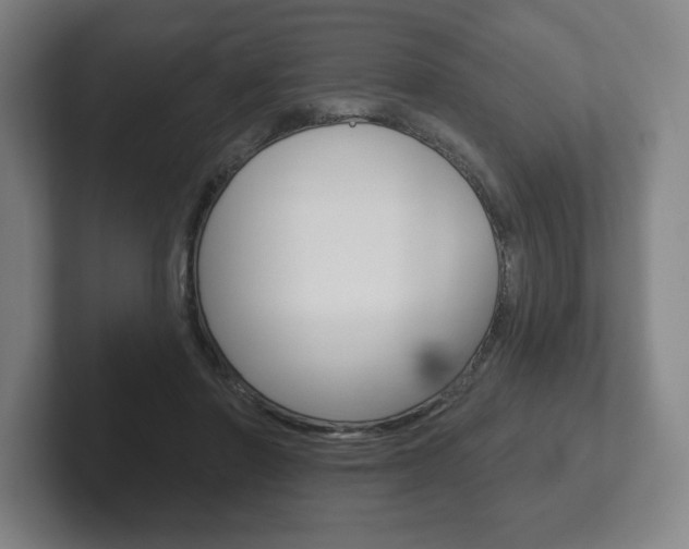 X0000102280406200807250945