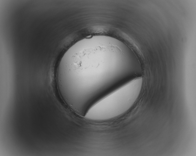X0000102280407200807250945