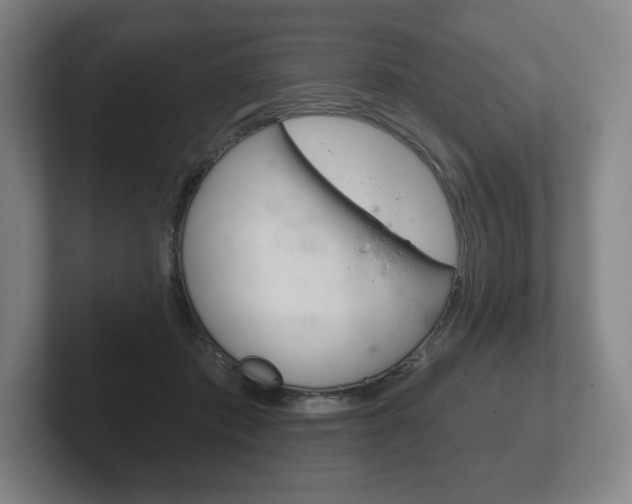 X0000102280413200807250945
