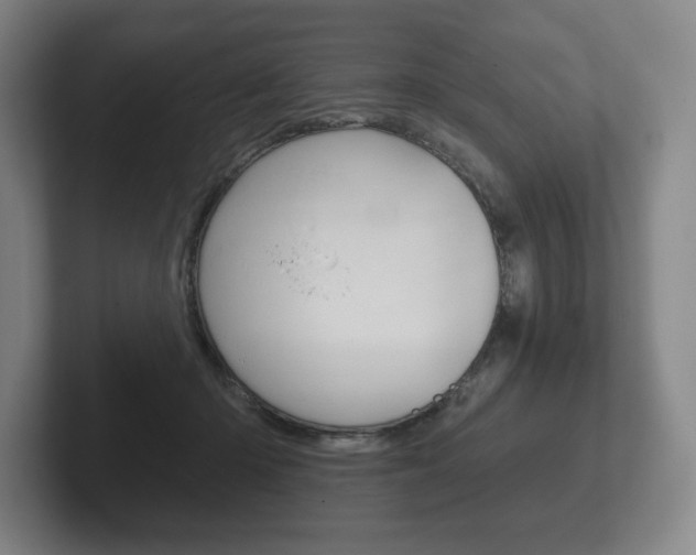 X0000102280414200807250945