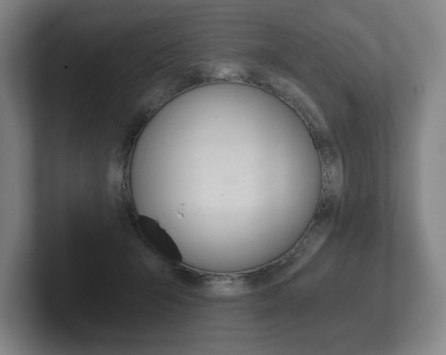 X0000102280415200807250945