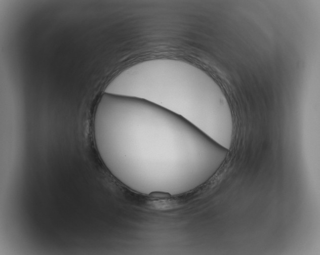 X0000102280417200807250945