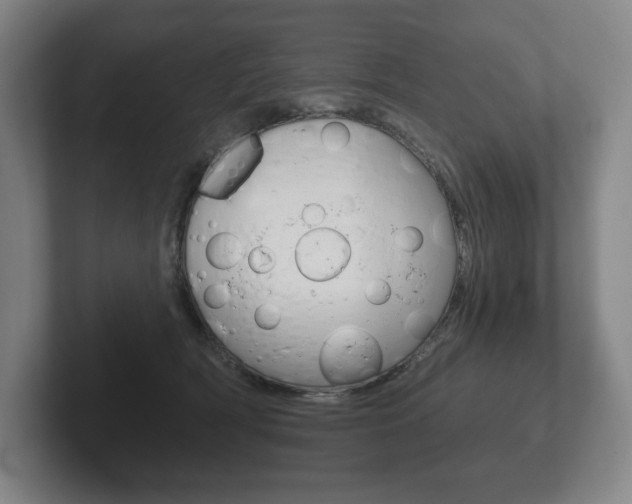 X0000102280418200807250945
