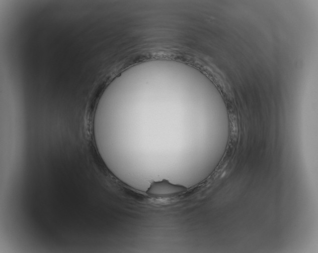 X0000102280419200807250945