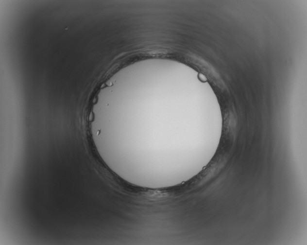 X0000102280421200807250945