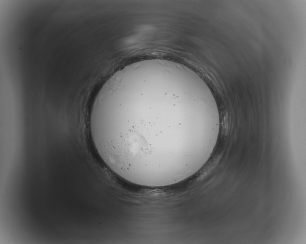 X0000102280424200807250945