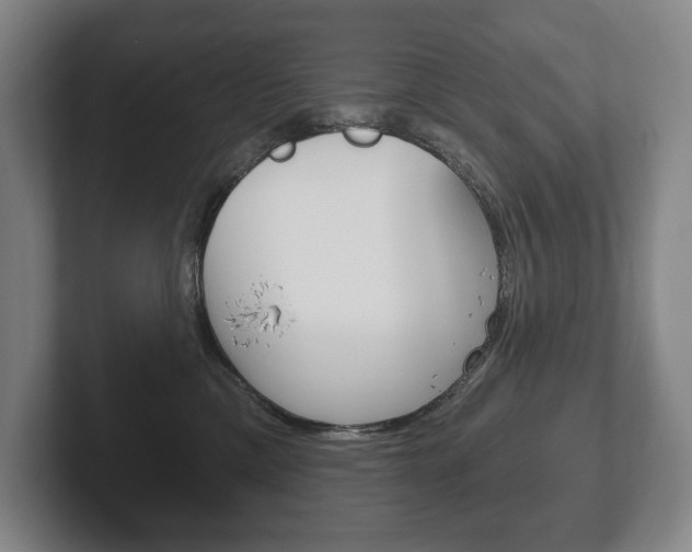 X0000102280425200807250945
