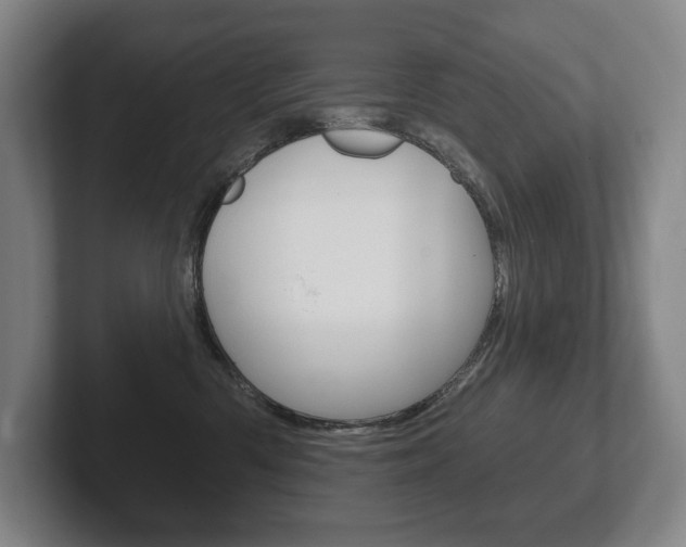 X0000102280426200807250945