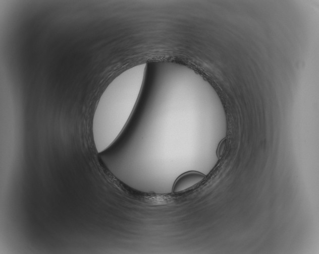 X0000102280432200807250945