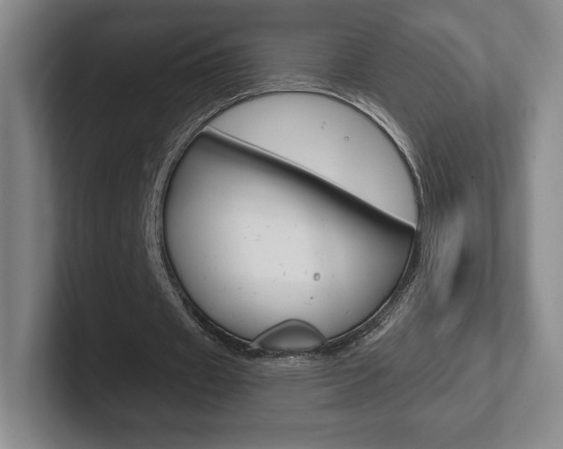 X0000102280433200807250944