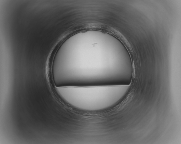 X0000102280435200807250944