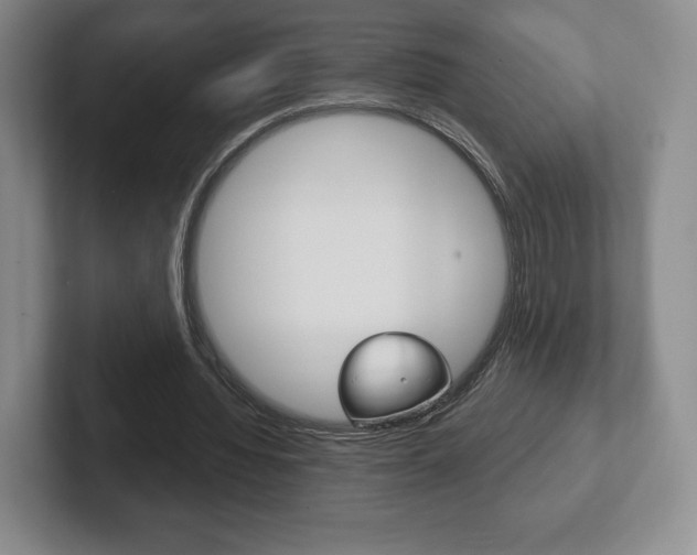 X0000102280436200807250944