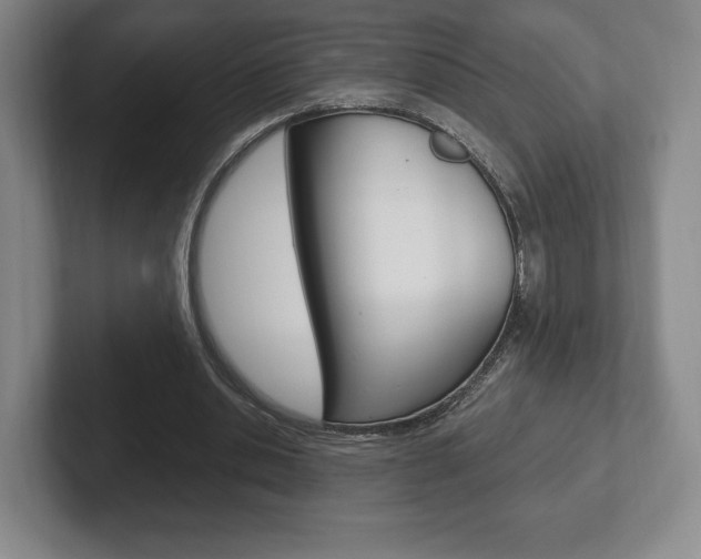 X0000102280438200807250944
