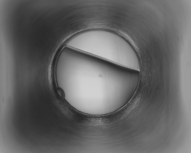 X0000102280439200807250944