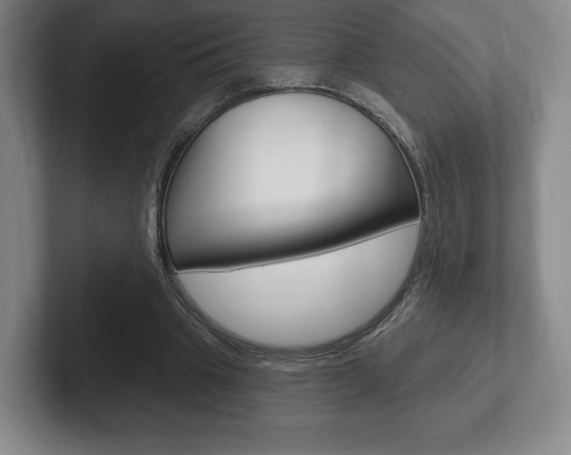 X0000102280441200807250944