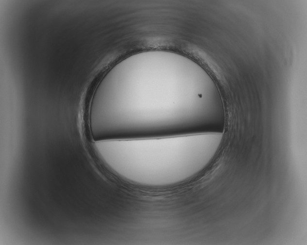 X0000102280443200807250944
