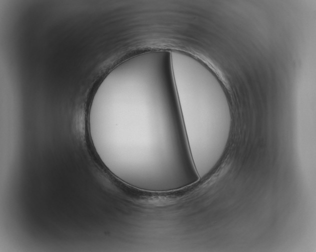 X0000102280445200807250944