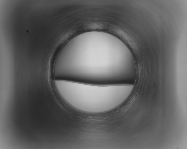 X0000102280447200807250944