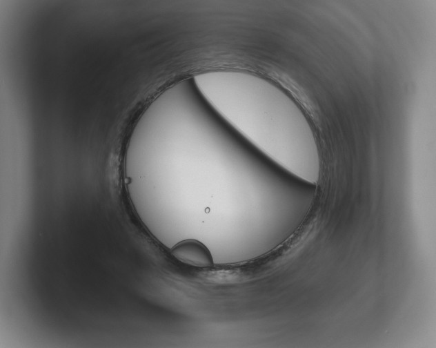 X0000102280449200807250944