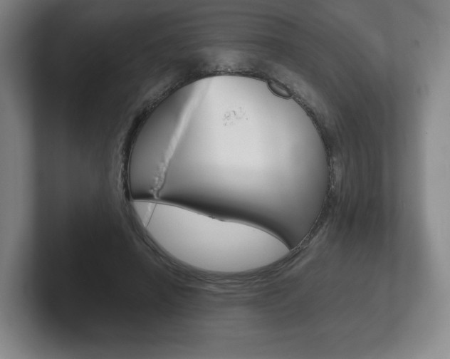 X0000102280450200807250944