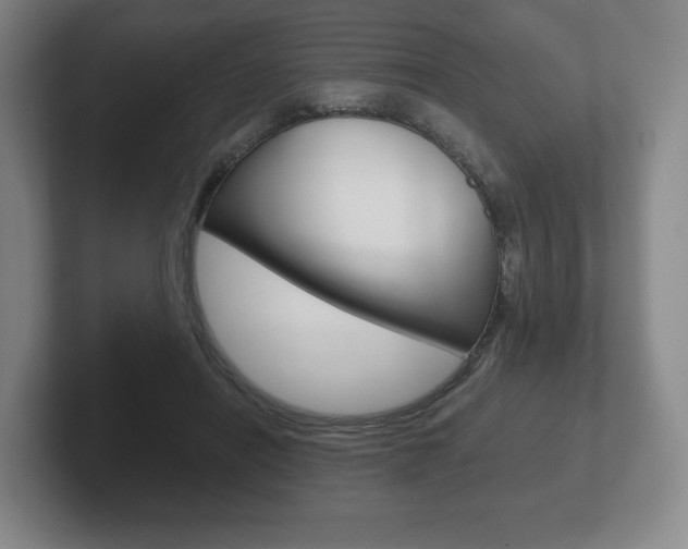 X0000102280454200807250944