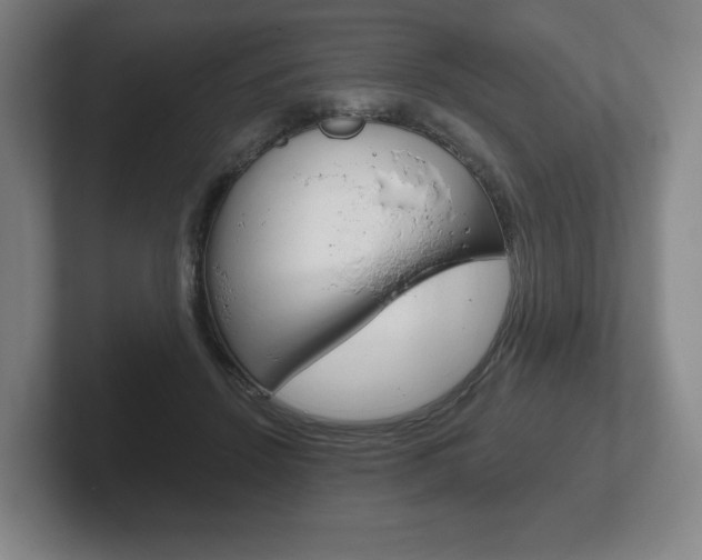X0000102280456200807250944