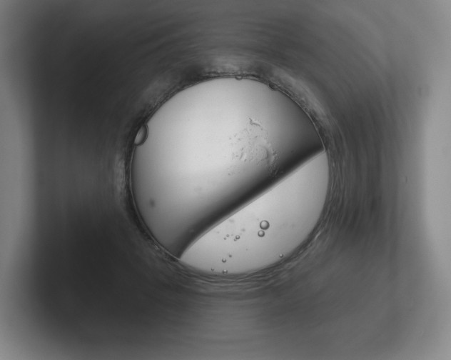 X0000102280457200807250944