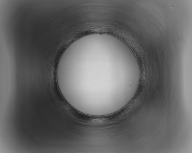 X0000102280461200807250944
