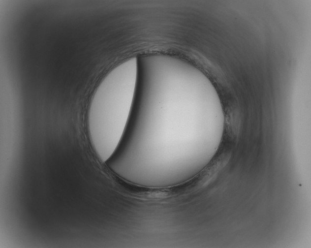 X0000102280462200807250944