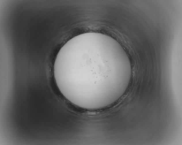 X0000102280464200807250944