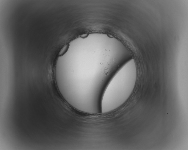 X0000102280465200807250944