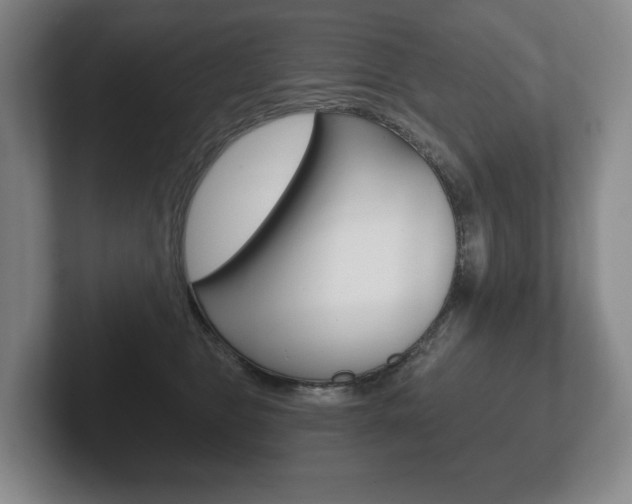 X0000102280469200807250944