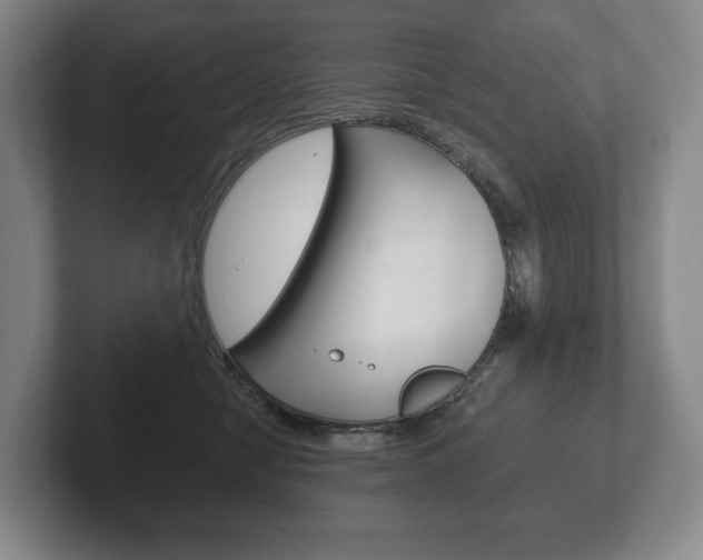 X0000102280470200807250944