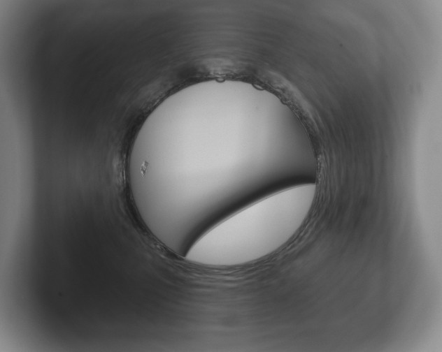X0000102280471200807250944