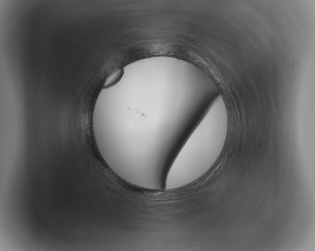 X0000102280473200807250944