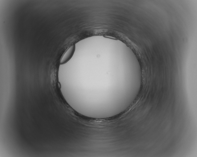 X0000102280475200807250945