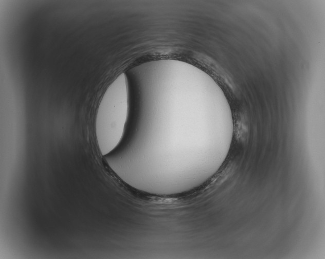 X0000102280476200807250945