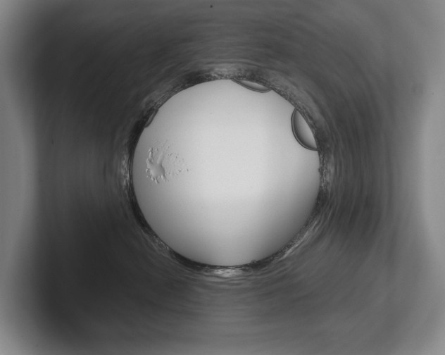 X0000102280478200807250945