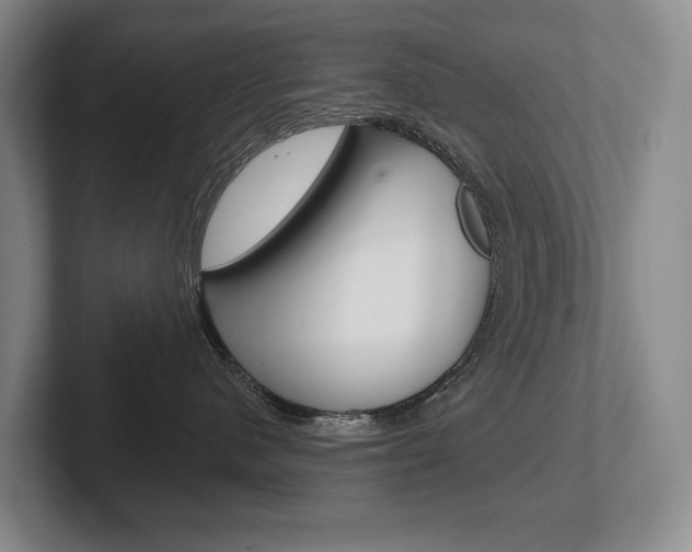 X0000102280480200807250945