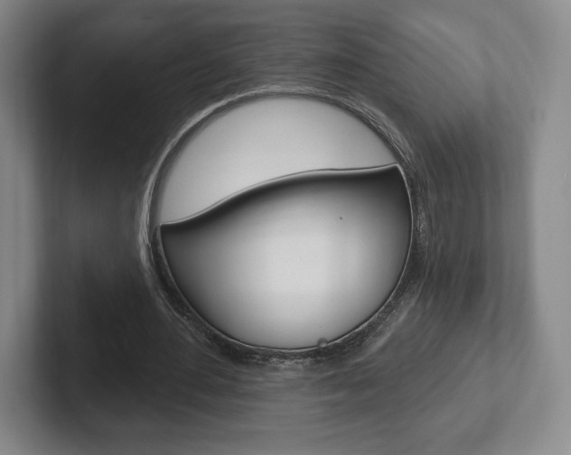 X0000102280484200807250944