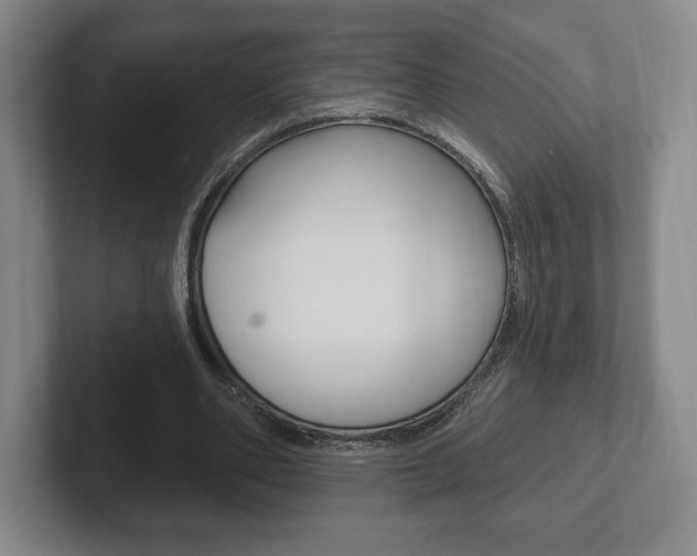 X0000102280486200807250944